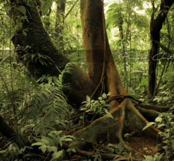 Frugal Costa Rica